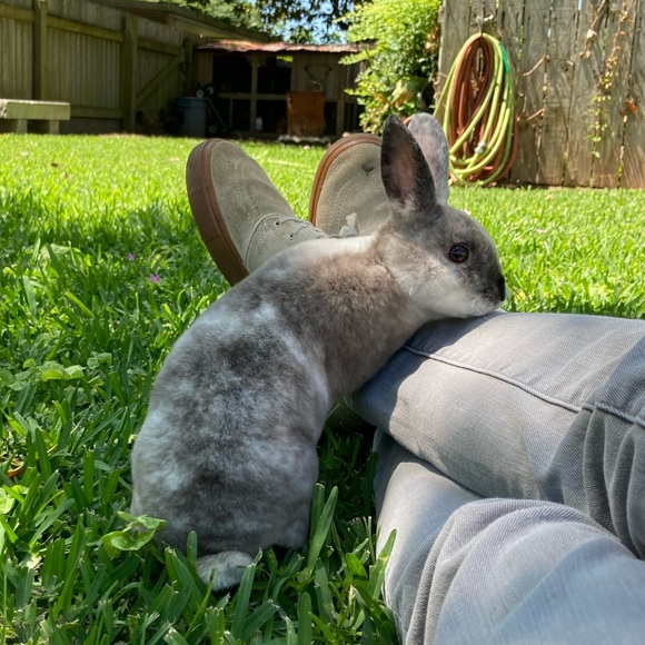 Meet your Posher, Hayden - Picture 1 of 1